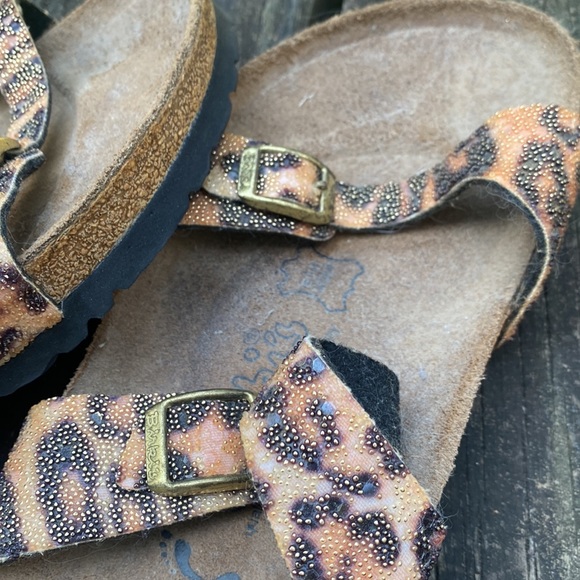 Lightly used animal print - Picture 2 of 4